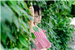 出轨的女人8免费观看正版电视剧